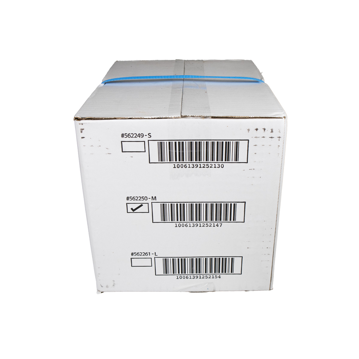 Dried Anchovy (Medium)_07